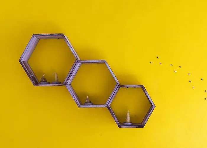 Callegari * 卡罗达诺英弗雷